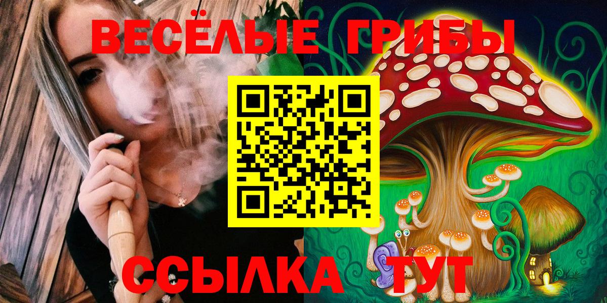 Саратов  Галлюциногенные грибы Cubensis  Вход с VPN  Галлюциногенные грибы Magic Shrooms 