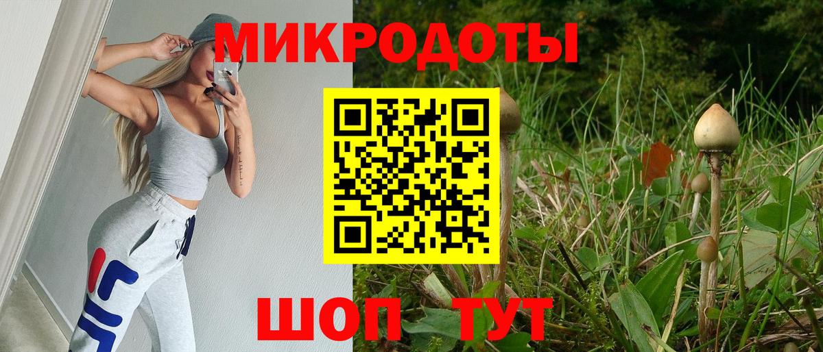 Псилоцибиновые грибы мухоморы Саратов