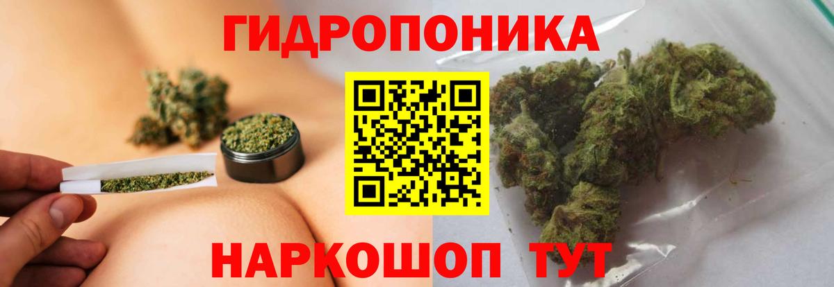 Бошки марихуана THC 21% Саратов
